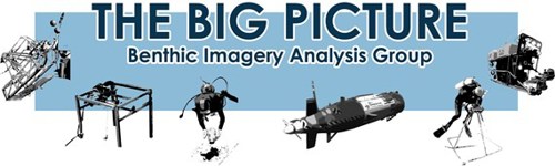 logo for Benthic Imagery Action Plan