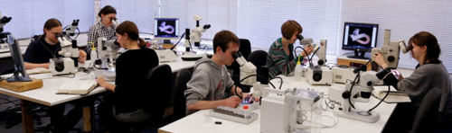 unicomarine workshop